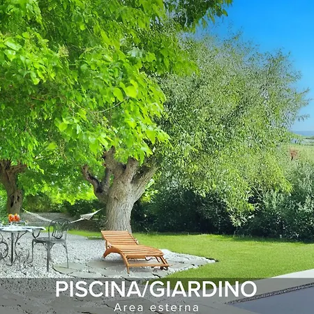 Gelsi فيلة بيزارو