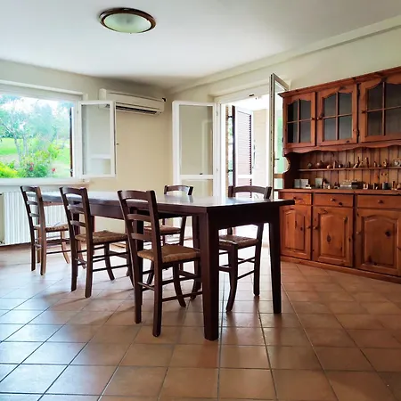 فيلة Gelsi بيزارو