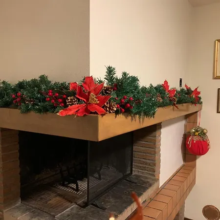 Gelsi فيلة بيزارو